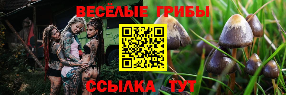 Галлюциногенные грибы Magic Shrooms  Вход с VPN  Галлюциногенные грибы MAGIC MUSHROOMS  Североморск 