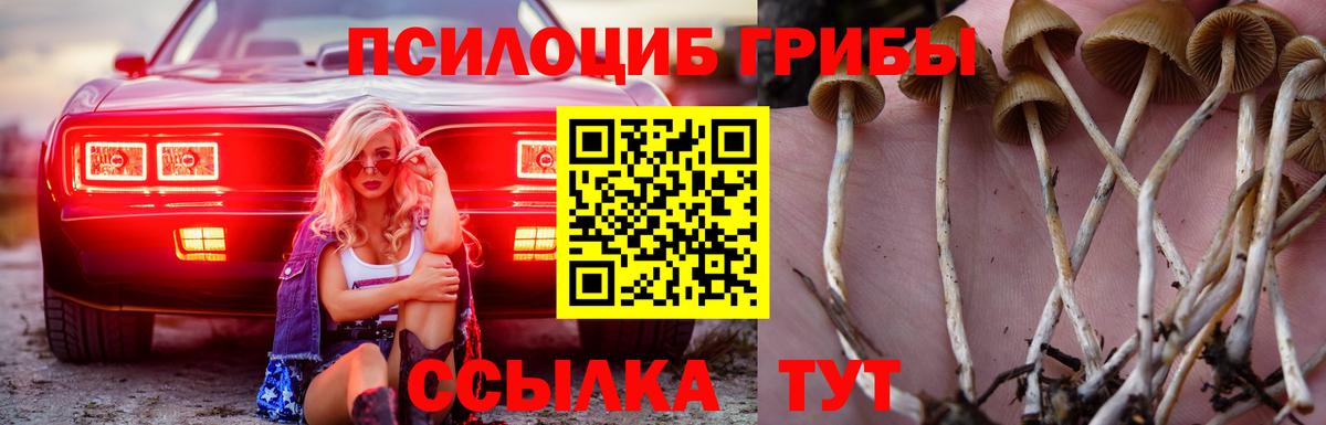 Галлюциногенные грибы мицелий Североморск
