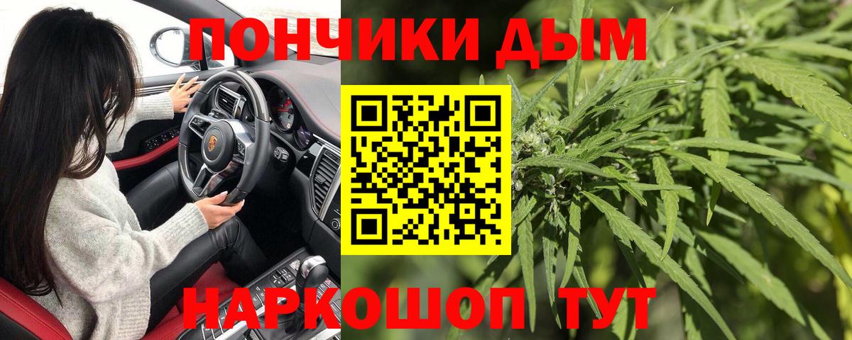 Каннабис OG Kush Североморск